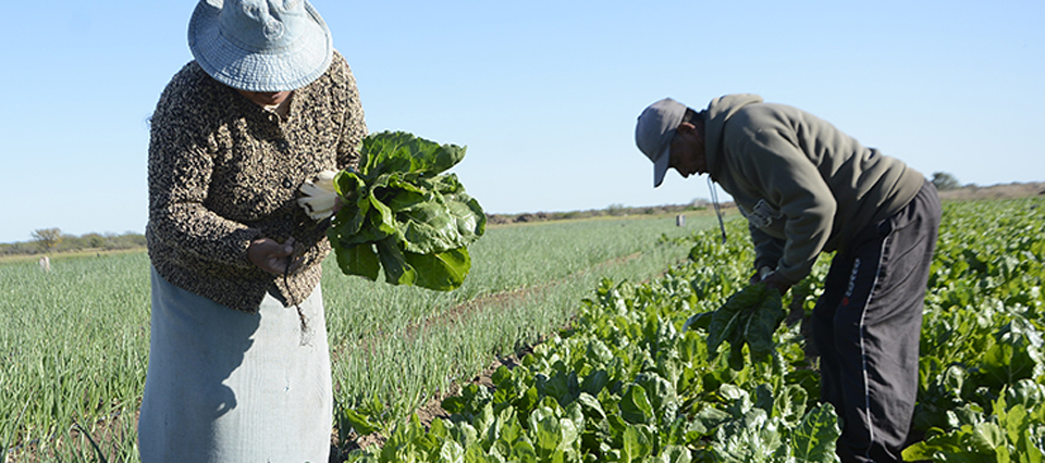 Cierre del INAFCI: “En Argentina el 60% de las verduras provienen de la agricultura familiar y campesina”